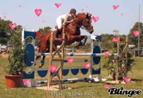 mon coeur